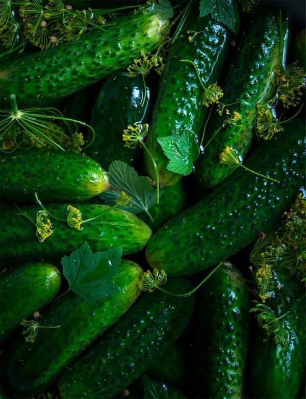Pepino
